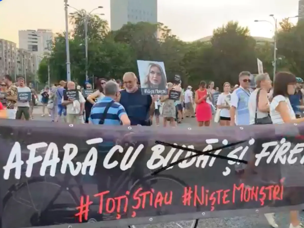 Protestatarii cer dreptate în scandalul azilelor groazei în fața Guvernului - Foto: Facebook/ Declic - Captură foto