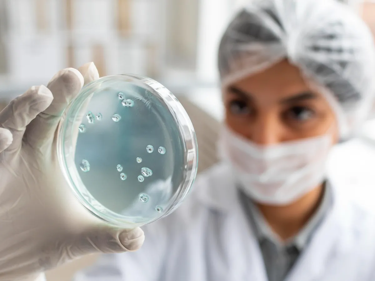 DSP Bihor: Focarul de Salmonella de la o școală din Oradea nu a fost provocat de alimente
