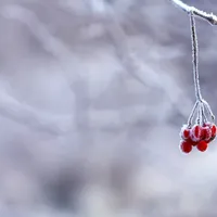 După frigul năprasnic din ultimele zile, vremea o ia din nou razna. La ce să ne așteptăm de acum Foto: Pexels (fotografie cu caracter ilsutrativ)