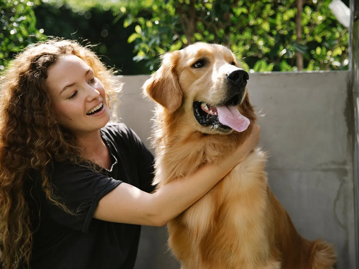 Femeie cu un câine Golden Retriever - Foto: Pexels (cu rol ilustrativ)