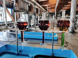 Solvay deschide o nouă fabrică pentru producerea de elemente din pământuri rare pentru magneți permanenți, în La Rochelle, Franța - Foto: Profimedia Images