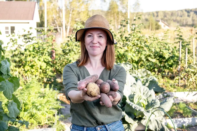 Fermieră țin&acirc;nd cartofi la apus &icirc;n grădină - Foto: Freepik (Imagine cu rol ilustrativ)