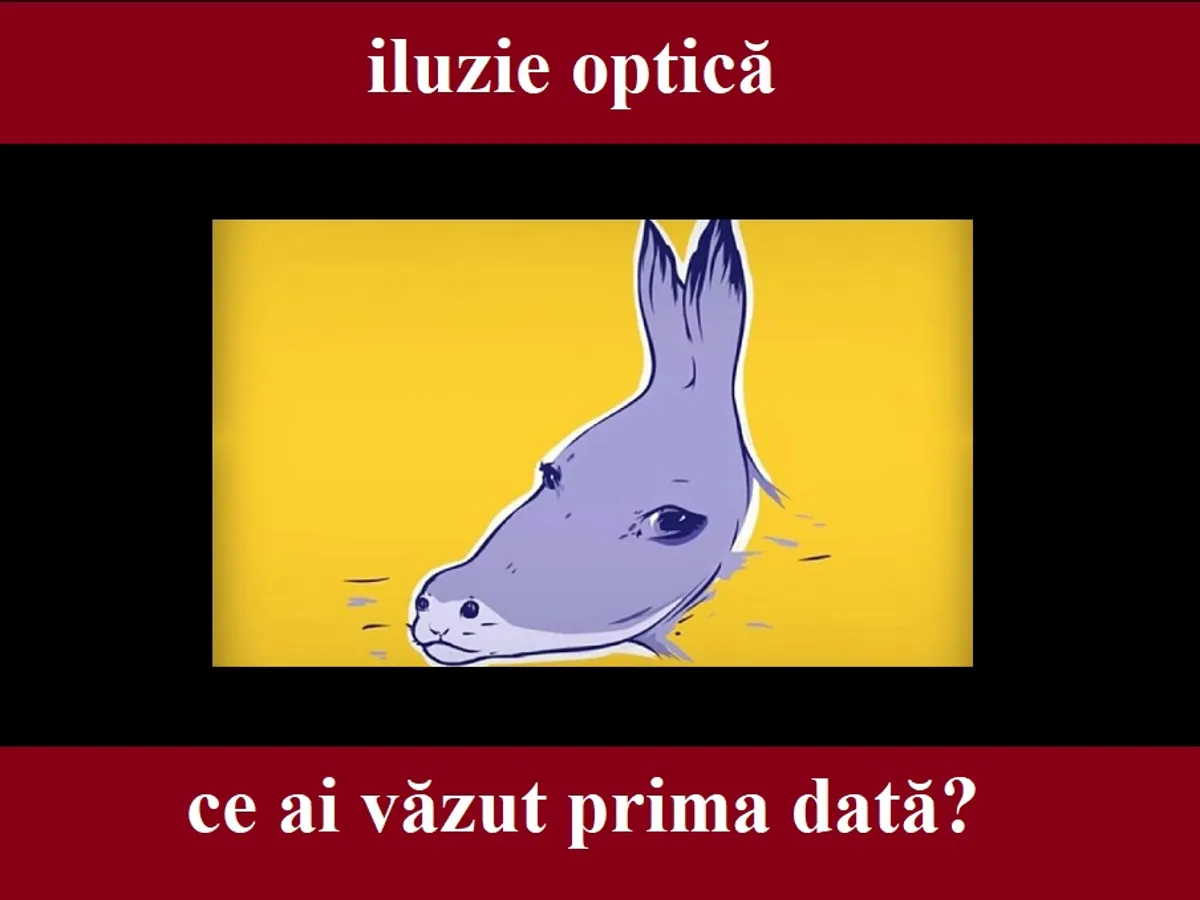 Iluzie optică Foto: Newsweek