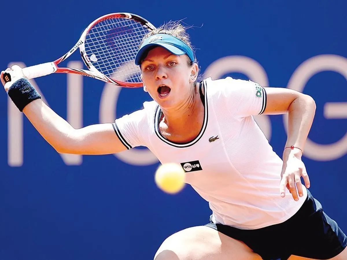 Iunie 2014- prima finală pierdută la Roland Garros