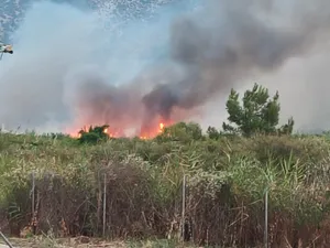 VIDEO Incediu uriaș într-o stațiune din Thassos populată de români, Intervin și elicopterele - Foto: Newsweek România