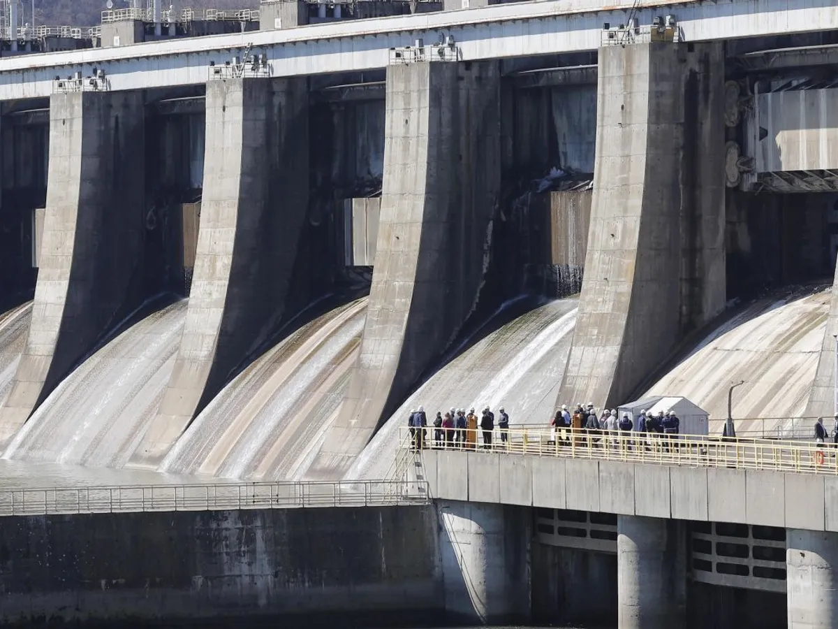 Oana Gheorghiu: Hidroelectrica, modelul de succes prin care putem transforma companiile românești