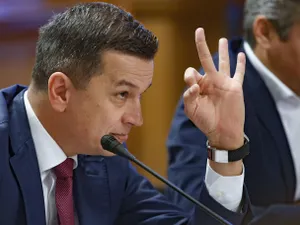 Sorin Grindeanu - Foto: Profimedia