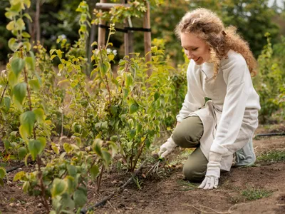 Ce semințe să plantezi în martie ca să ai o recoltă bogată primăvara aceasta. Când este vremea perfectă? - Foto: Freepik (Imagine cu rol ilustrativ)