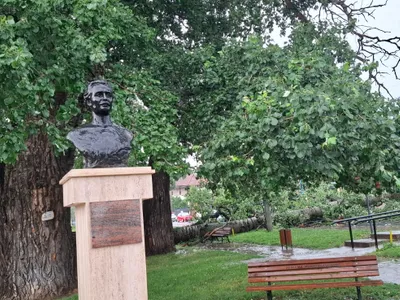 Unul dintre plopii fără soț care l-au inspirat pe Mihai Eminescu a fost doborât de o furtună Foto: ISU Iași