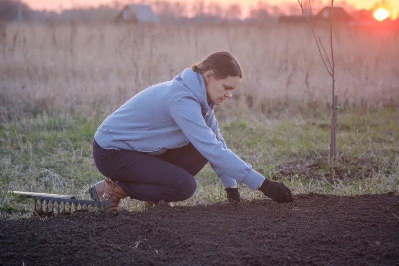 Femeie care curăță solul - Foto: Freepik (Imagine cu rol ilustrativ)