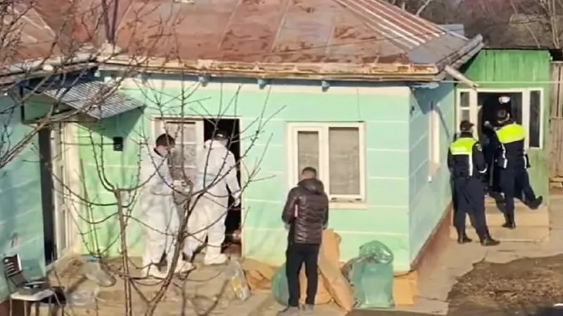 Legătura dintre crima făcută cu toporul la Deleni și un cunoscut oraș din Elveția - Foto: ZdI