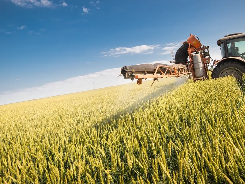 Guvernul a aprobat mai multe măsuri pentru fondurile UE pentru agricultură şi dezvoltare rurală. / Foto: stiriletransilvaniei.ro