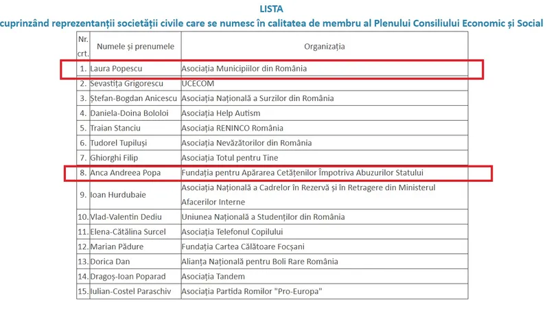 Lista ONG-urilor numite de Viorica Dăncilă în CES, în locul celor 13 date afară. Sursa: Ordinul 285/2018