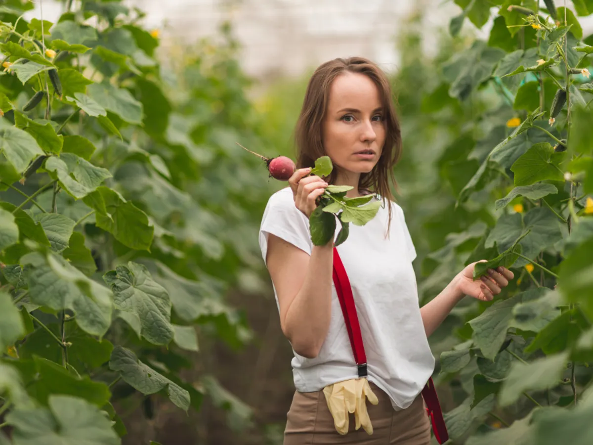 Grădină de legume - Foto: freepik (rol ilustrativ)