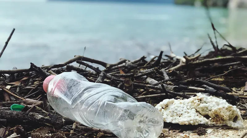 Americanii, cei mai mari poluatori cu plastic. FOTO: Pexels.com