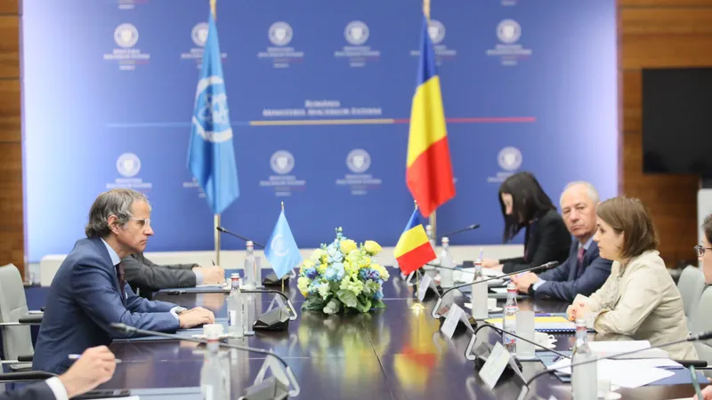 Luminița Odobescu a discutat cu directorul AIEA inclusiv despre atacurile ruse de la Zaporojie - Foto: Facebook/ Ministerul Afacerilor Externe