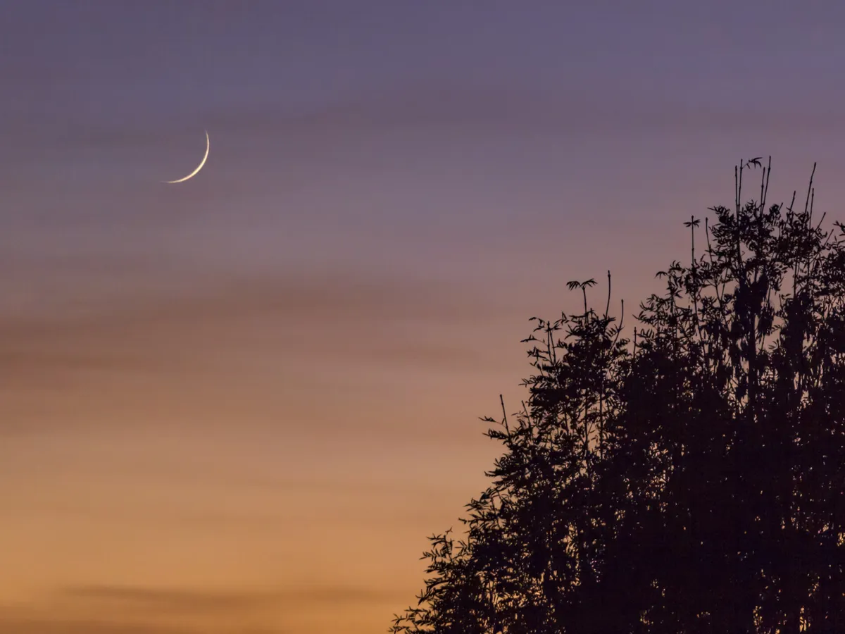 Lună Foto: Freepik (imagine cu rol ilustrativ)