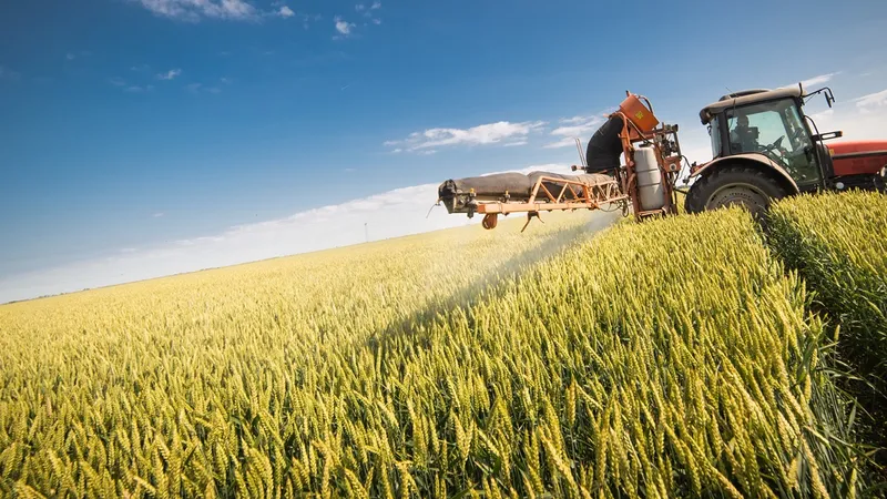 Guvernul a aprobat mai multe măsuri pentru fondurile UE pentru agricultură şi dezvoltare rurală. / Foto: stiriletransilvaniei.ro