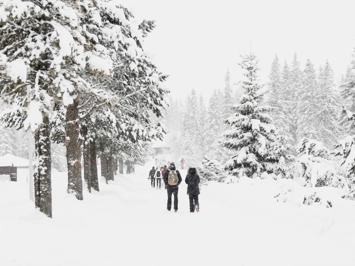 MAE: Atenționare de călătorie în Japonia - ninsori abundente în provinciile Niigata, Aomori și Akita