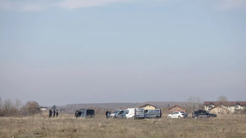 17 milioane buget la „Supravegherea Animalelor” - Foto: INQUAM PHOTO, Sabin Cîrstoveanu