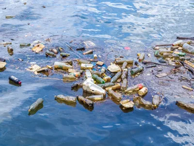 350 de kilograme de gunoi au fost adunați dintr-un lac de acumunare din România, în doar 3 ore - Foto: Agerpres