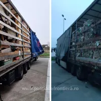 Un camion cu haine din Austria nu a fost lăsat în România. Posibilă răzbunare - Foto: politiadefrontiera