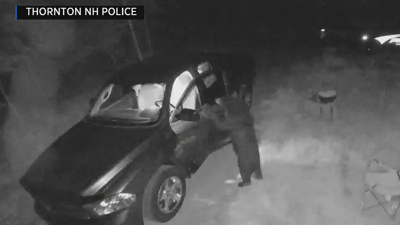„Delincventul în serie”, cu blană și gheare. / Foto: boston.cbslocal.com
