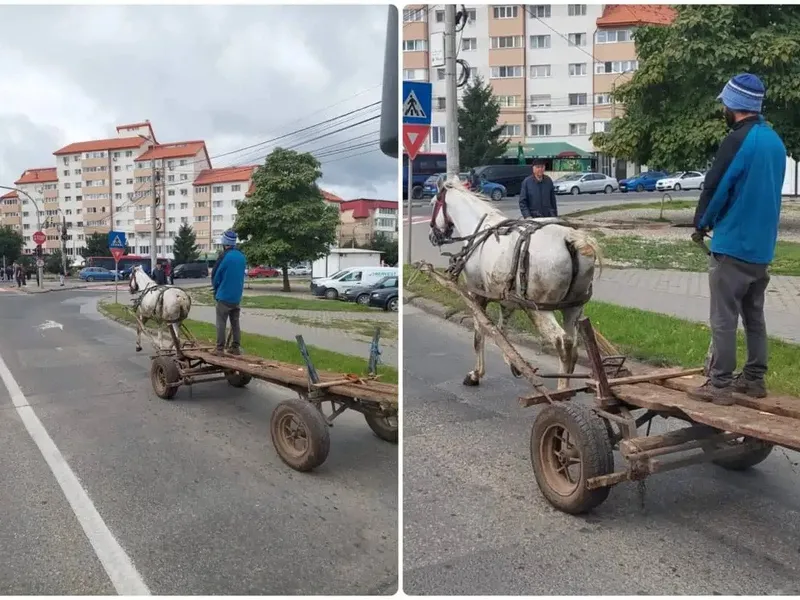 Cu căruța, în picioare, prin centrul orașului - Foto: Alba24.ro