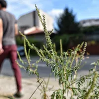 Amenzi de până la 5.000 lei pentru românii proprietari de terenuri. La ce trebuie să fie atenți? - Foto: Profimedia / imagine rol ilustrativ