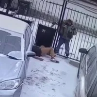 Momentul execuției lui Aly Sadoveanu Foto:captură Gândul