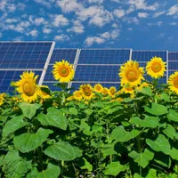 UE a îndemnat statele membre să nu se opună ieșirii din Tratatul privind Carta Energiei. Motivele - Foto: Profimedia Images/ Imagine cu caracter ilustrativ