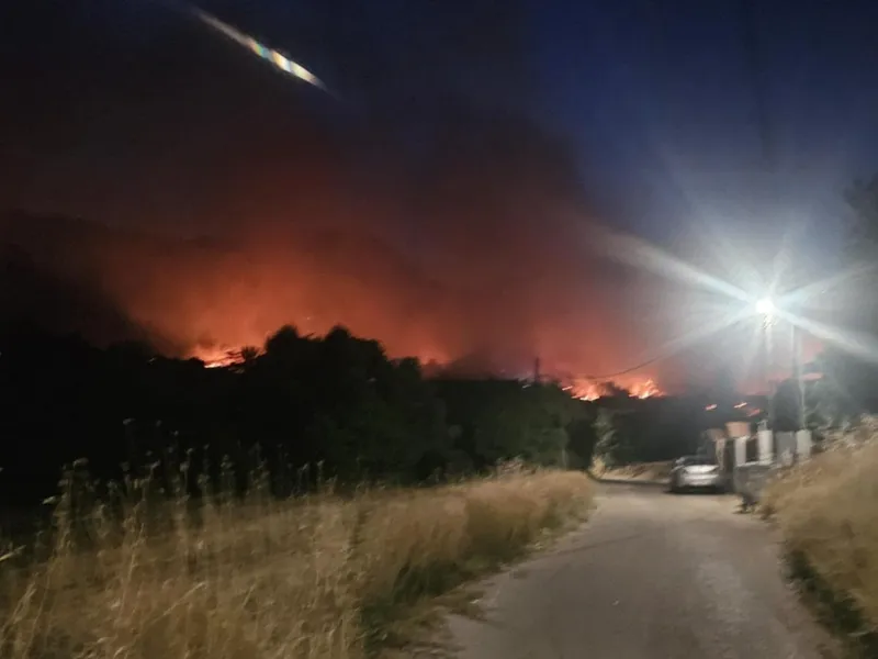 40.000 de hectare pârjolite în insula grecească Chios. Totul a plecat de la o țigară aruncată - Foto: Profimedia images