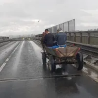 O căruță circula pe Autostrada 1, în apropiere de Sibiu / FB