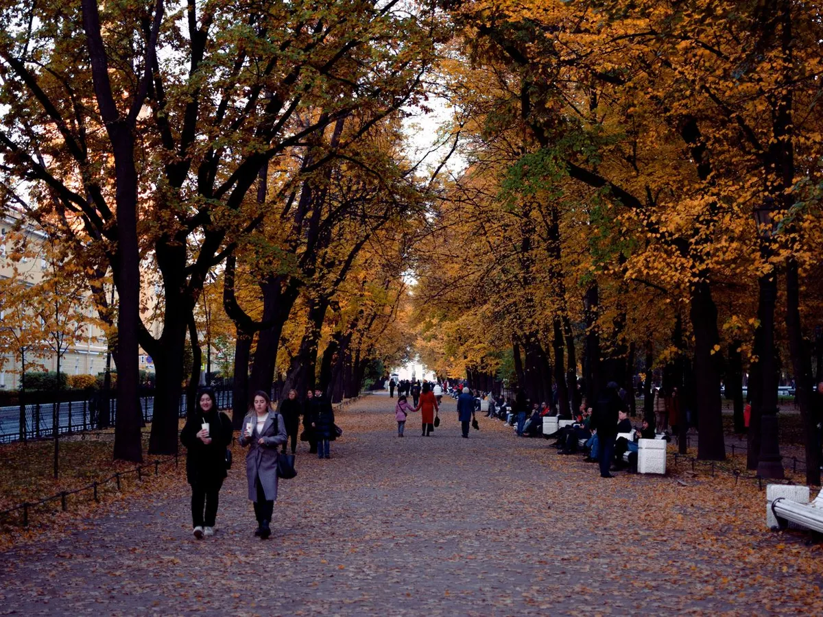 Oameni pe stradă Foto: PExels (imagine cu rol ilustrativ)