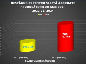 Florin Barbu: Pentru fermierii noștri e important să își vândă producția în piețe și târguri