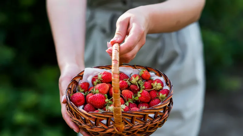 De ce nu trebuie să tai frunzele căpșunelor înainte de a le spăla? Cum să cureți fructele corect - Foto: Freepik.com (Imagine cu caracter ilustrativ)