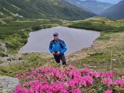 Bujori de munte - Foto: Facebook / Jandarmeria Bistrița
