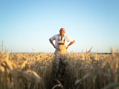 ANM: Dezvoltare normală la rapiță, orz și grâu de toamnă, cu încetiniri de vegetație în zonele depresionare - Foto: Freepik (Imagine cu rol ilustrativ)