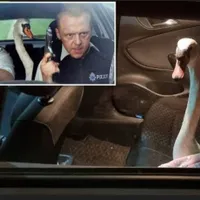 „Hot Fuzz” în viața reală/Foto: metro