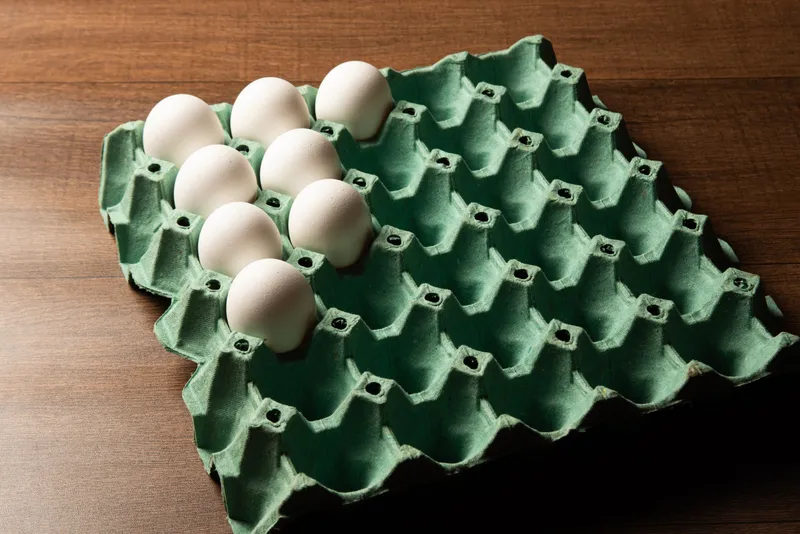 Cofrag de ouă - Foto: Freepik (Imagine cu rol ilustrativ)