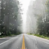 METEO Atenționare de ploi, vijelii și ninsoare. Care sunt județele lovite de fenomenele extreme? Foto: Freepik (fotografie cu caracter ilsutrativ)