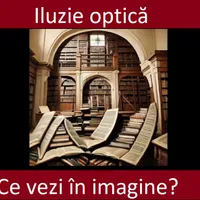 Iluzie optică Foto: Newsweek România/indiatimes.com