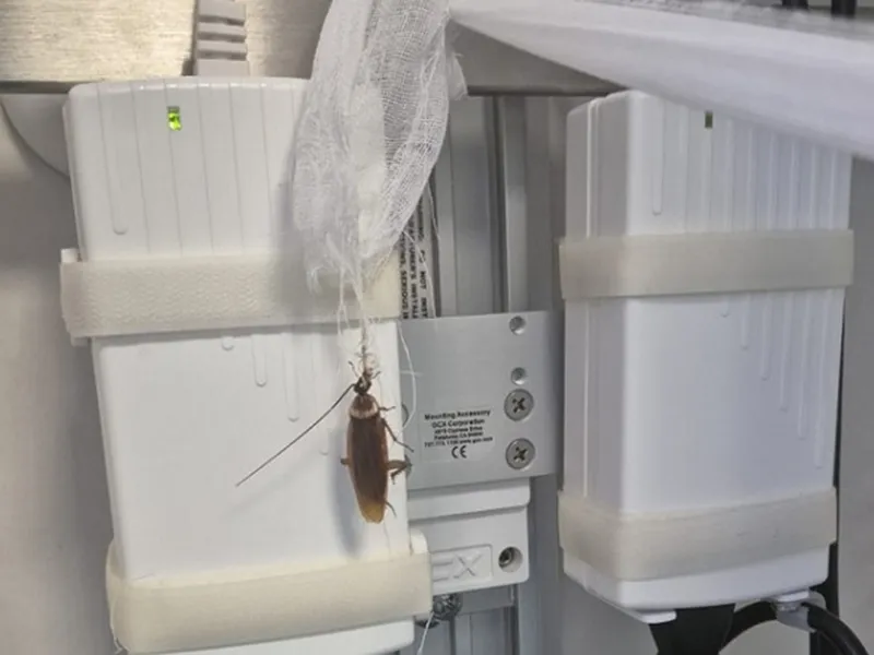 Lipsă de medicamente și gândaci, la Spitalul Floreasca. Ministrul a trimis corpul de control - Foto: Facebook / Alina Alexandru