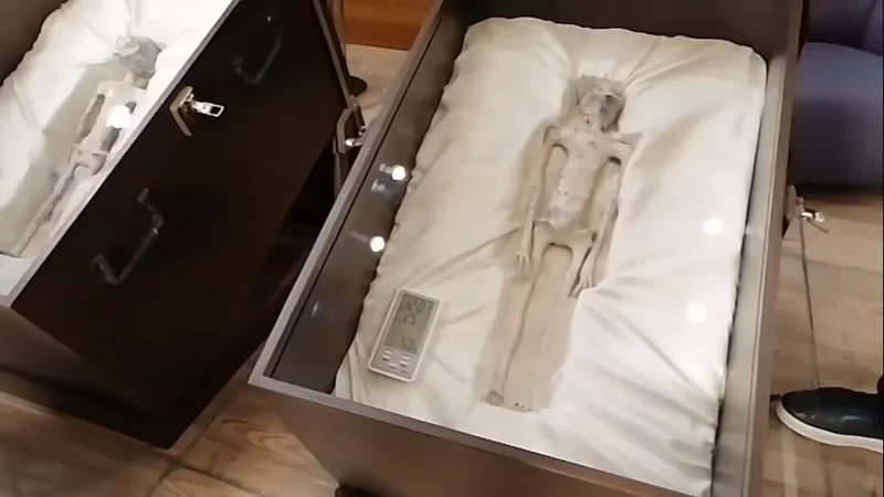 Extratereştri cu mâini cu trei degete - Foto: Captură video Facebook/Jaime Maussan