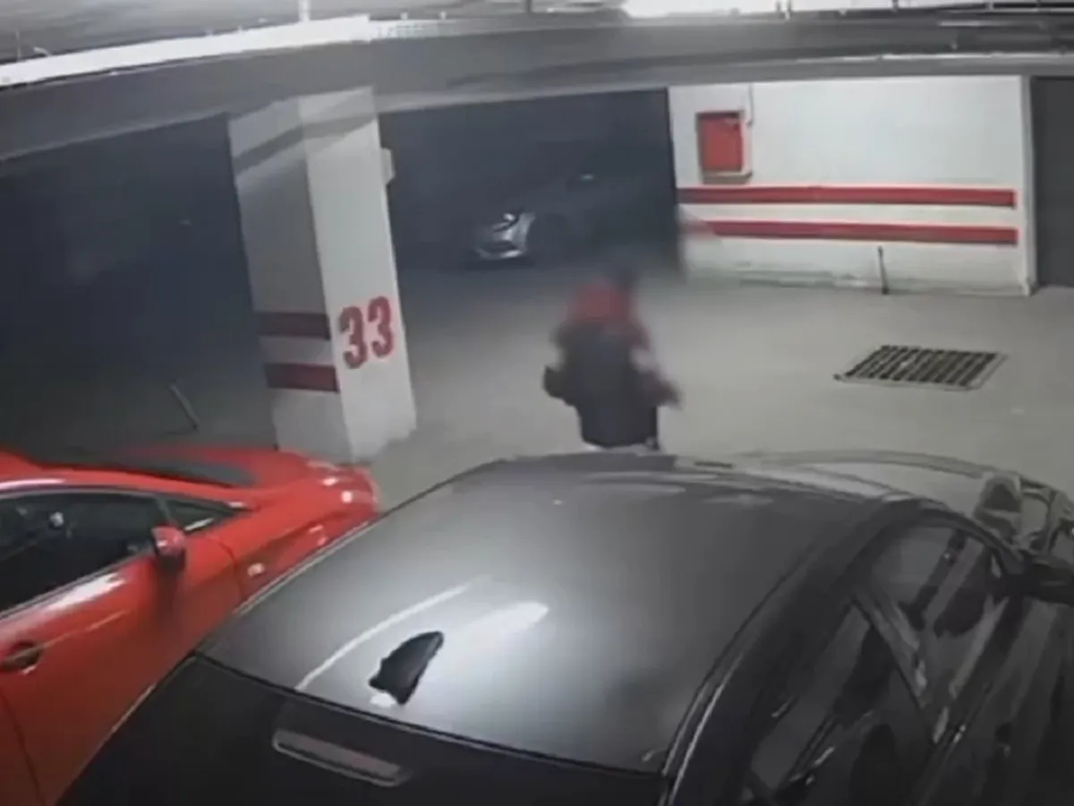 VIDEO Momentul în care un bărbat a intrat în parcare unui bloc pentru a fura. Se ascundea lângă perete