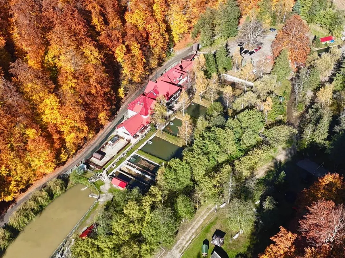 Păstrăvăria Brătioara - Foto: Facebook / Păstrăvăria Brătioara