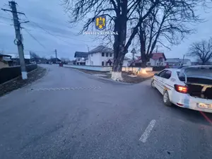 Un bărbat beat și agresiv care fugea de poliție,prins cu ”spike” Foto: Poliția Română