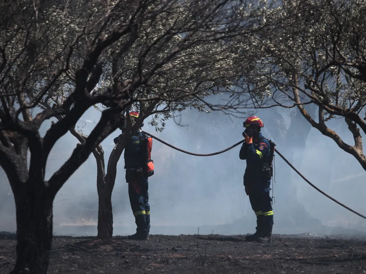 Incendiu Grecia - Foto: Profimedia images