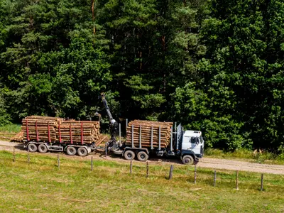 Metoda furtului de lemn „offline", prin care este înşelat sistemul SUMAL 2.0, învinsă în instanţă. / Foto: pro-lemn.ro