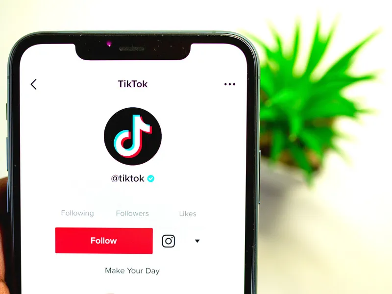 Videoclipurile postate de minori vor fi șterse de pe TikTok/FOTO: Pixabay